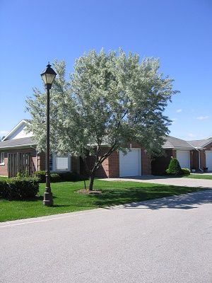 Thames River Place